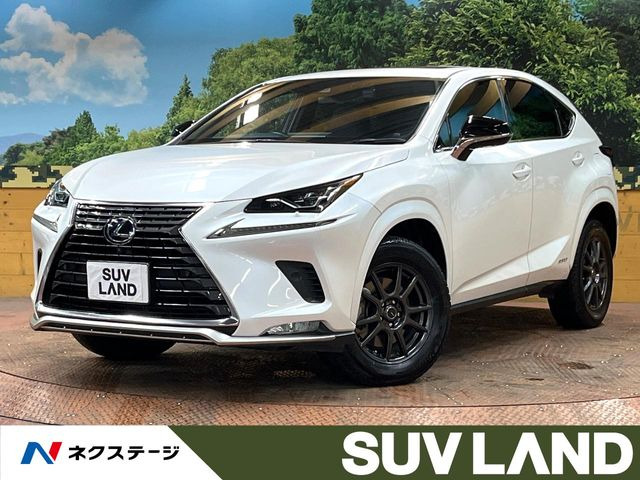 NX 300h スパイス&シック