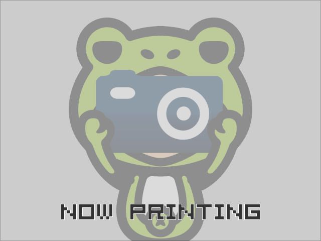 中古車 ダイハツ ロッキー 1 0 G の中古車詳細 5km パール 茨城県 8万円 中古車情報 中古車検索なら 車選びドットコム 車選び Com